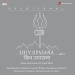 Shiv Upasana, Vol. 4 - Ravindra Sathey Song Download